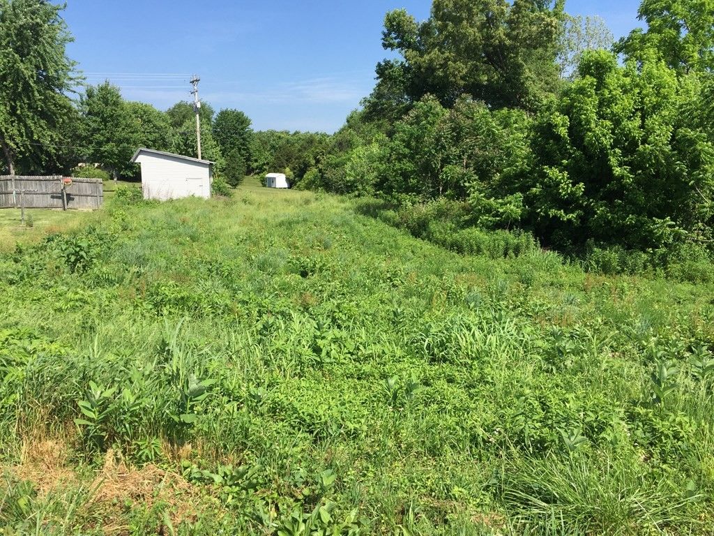 Gainesboro, Jackson County, TN Undeveloped Land, Homesites for sale