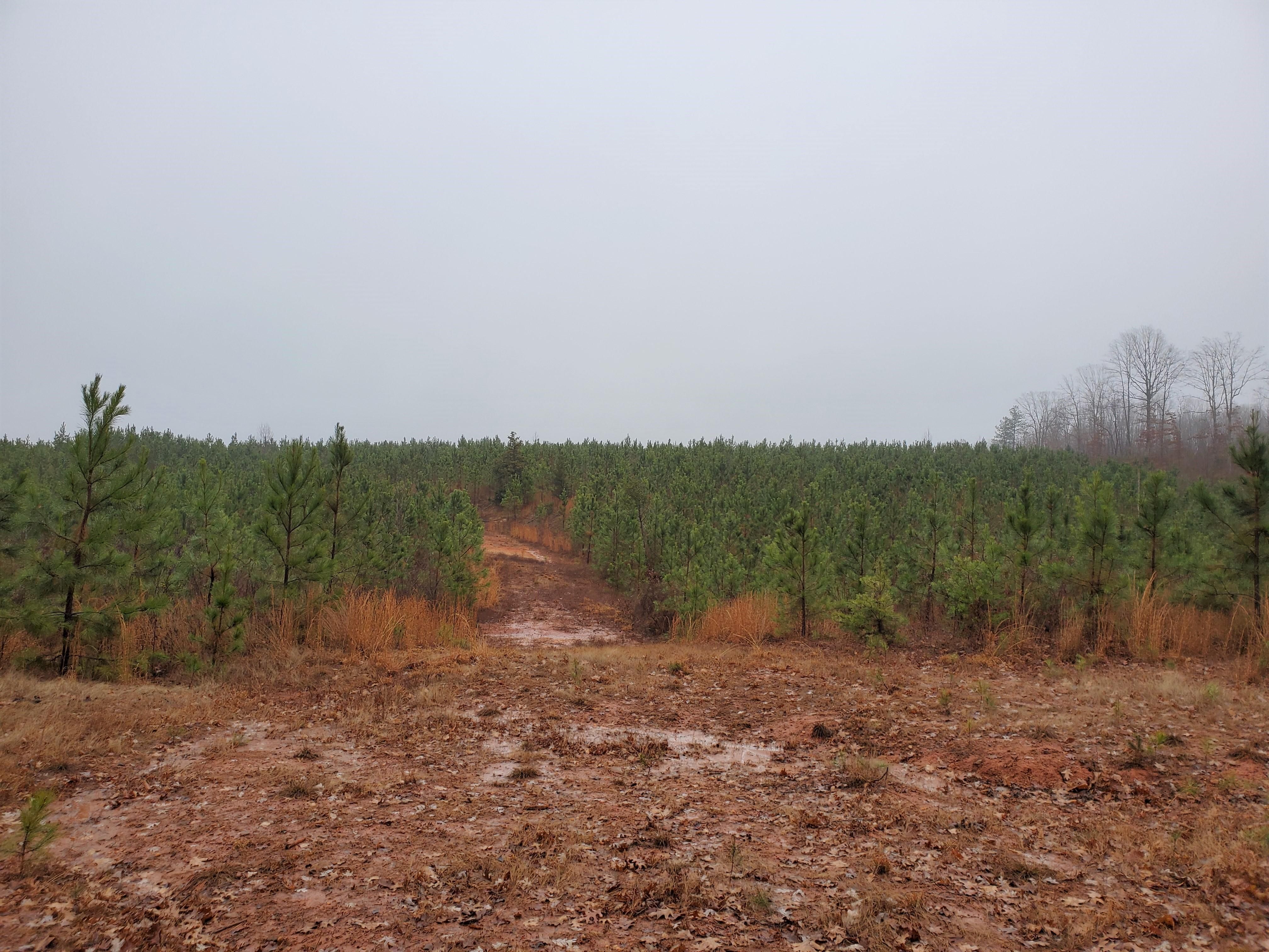 Green Bay, Prince Edward County, VA Timberland Property, Riverfront