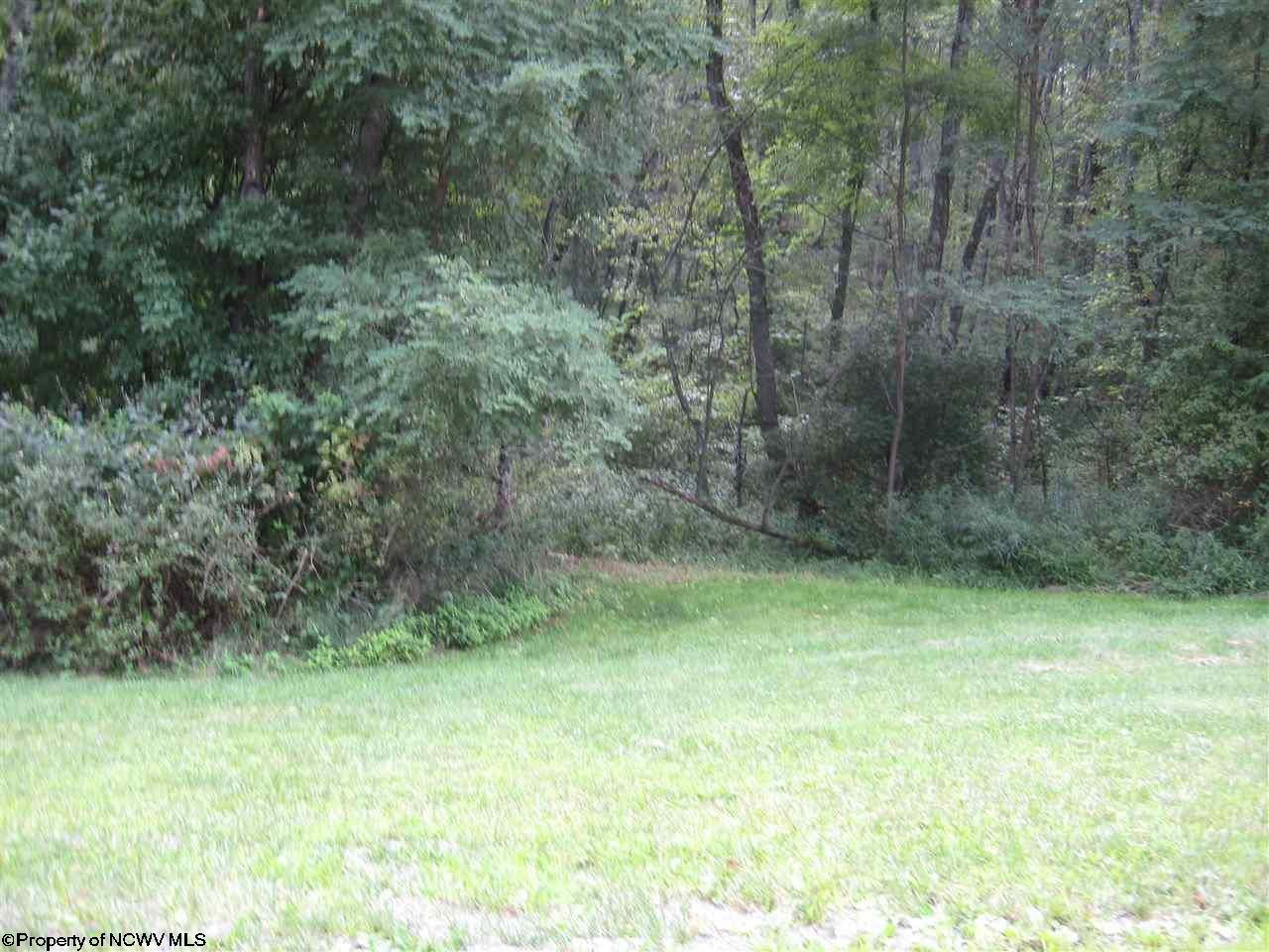 Bruceton Mills, Preston County, WV Undeveloped Land, Homesites for sale