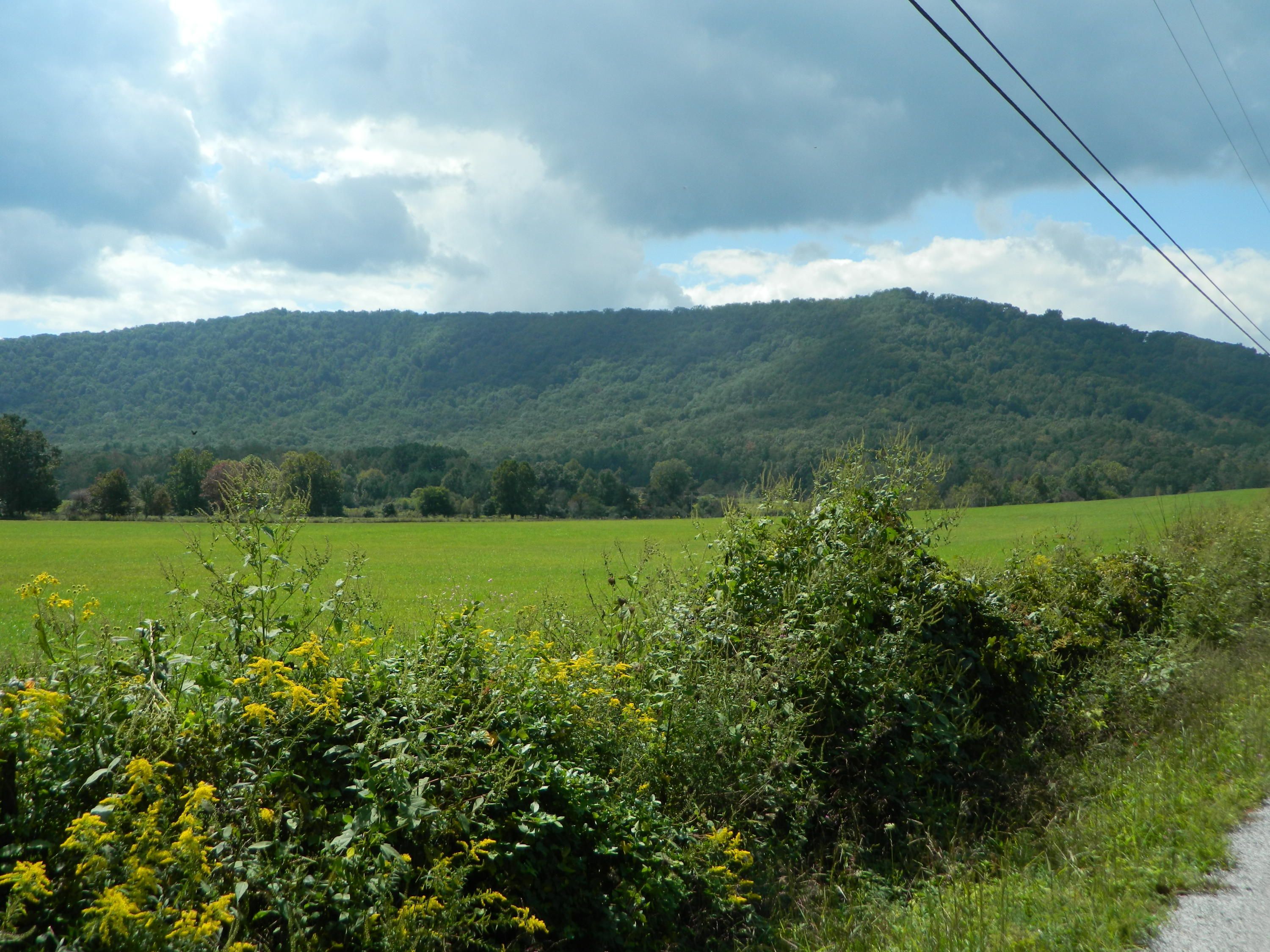 Sunbright, County, TN Undeveloped Land for sale Property ID