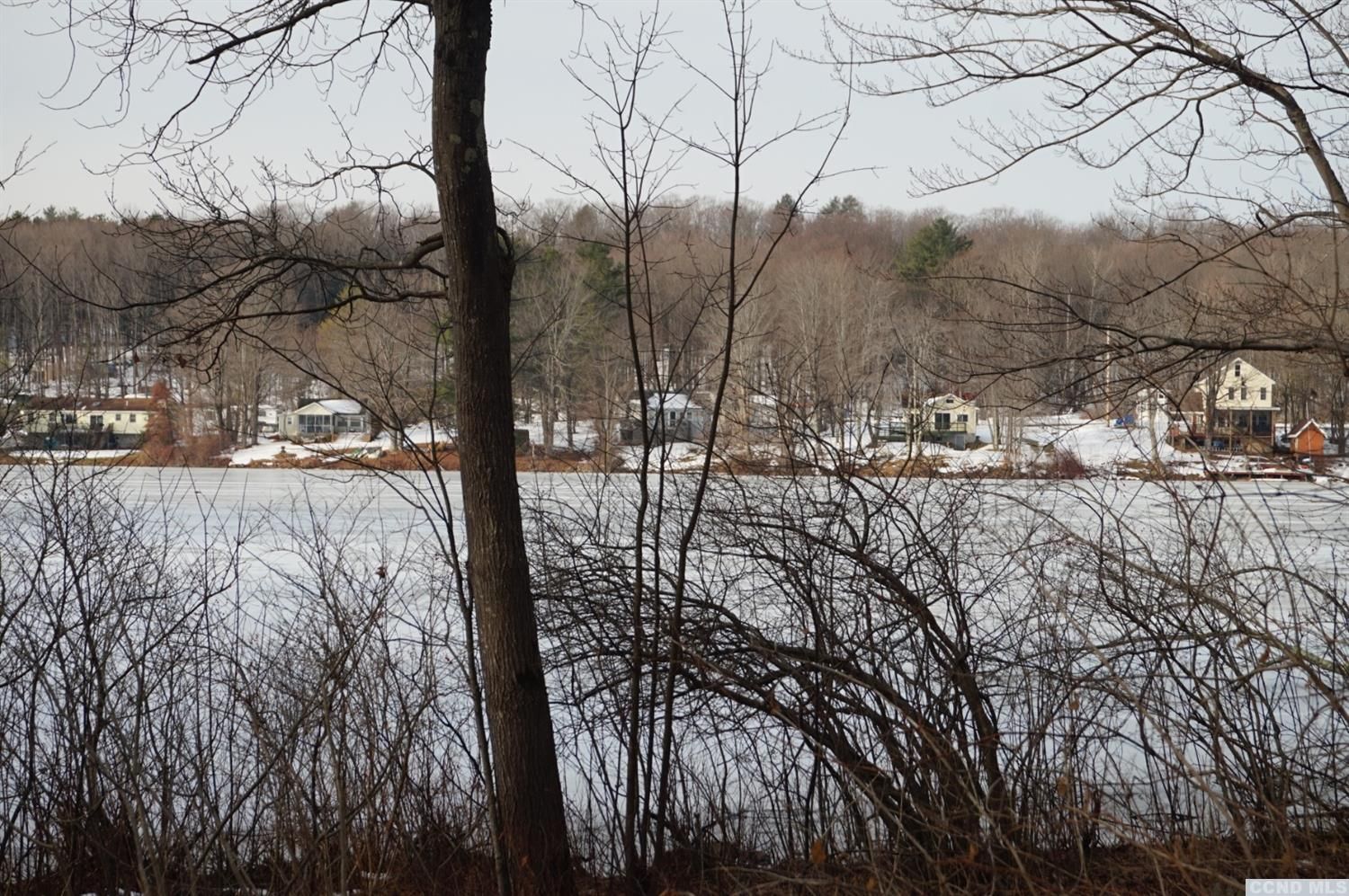 Westerlo, Albany County, NY Undeveloped Land, Lakefront Property