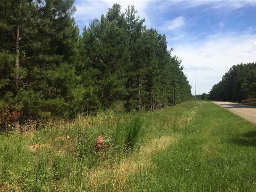 Ellaville, Schley County, GA Recreational Property, Timberland Property