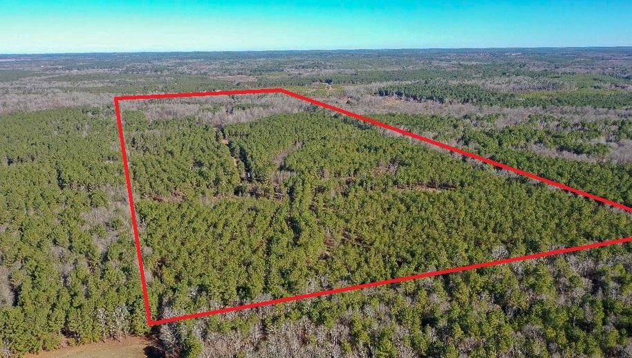 136.9 acres in Bivins, TX, 75555 LandWatch