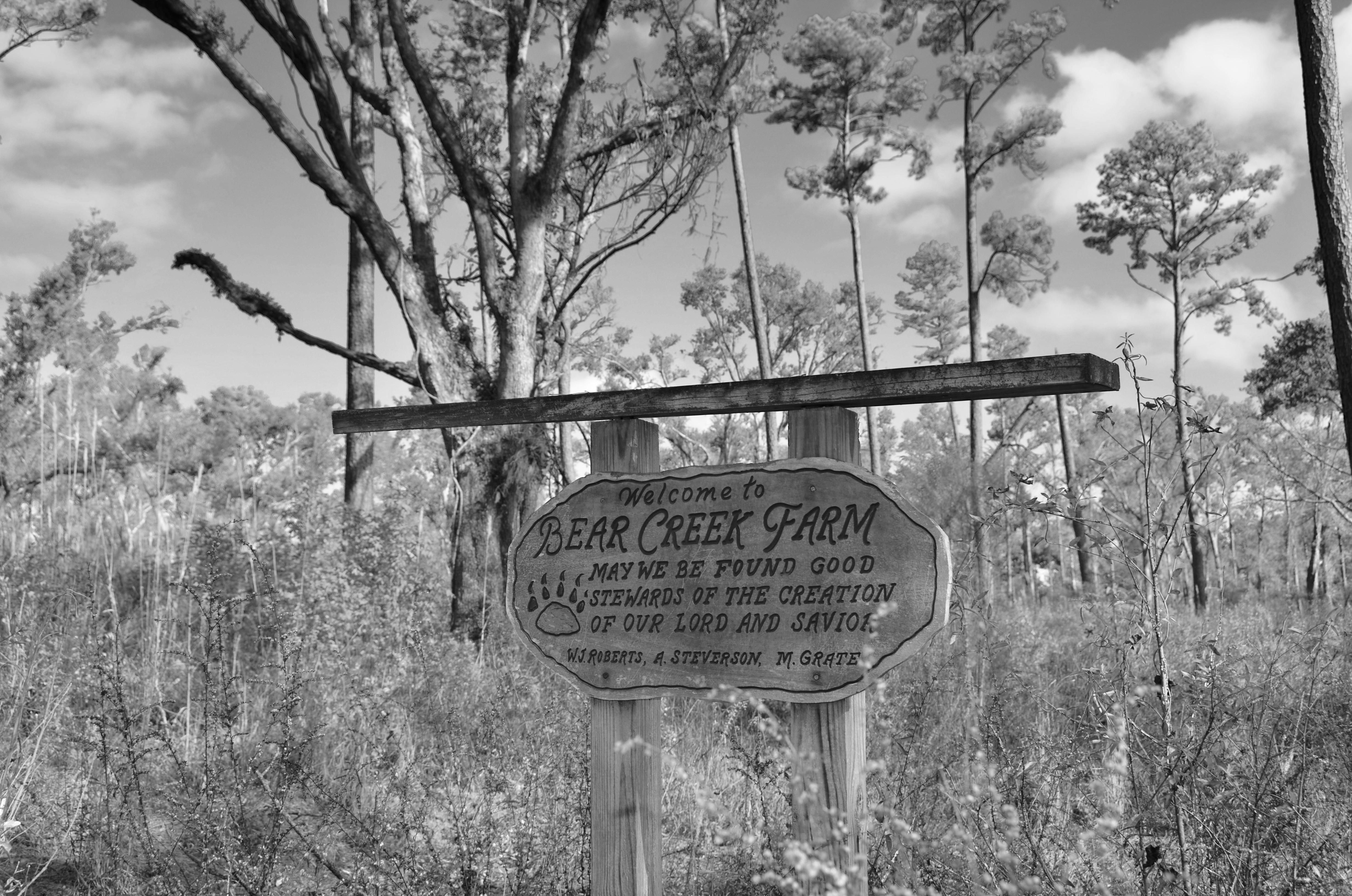 Quincy, Gadsden County, FL Recreational Property, Timberland Property