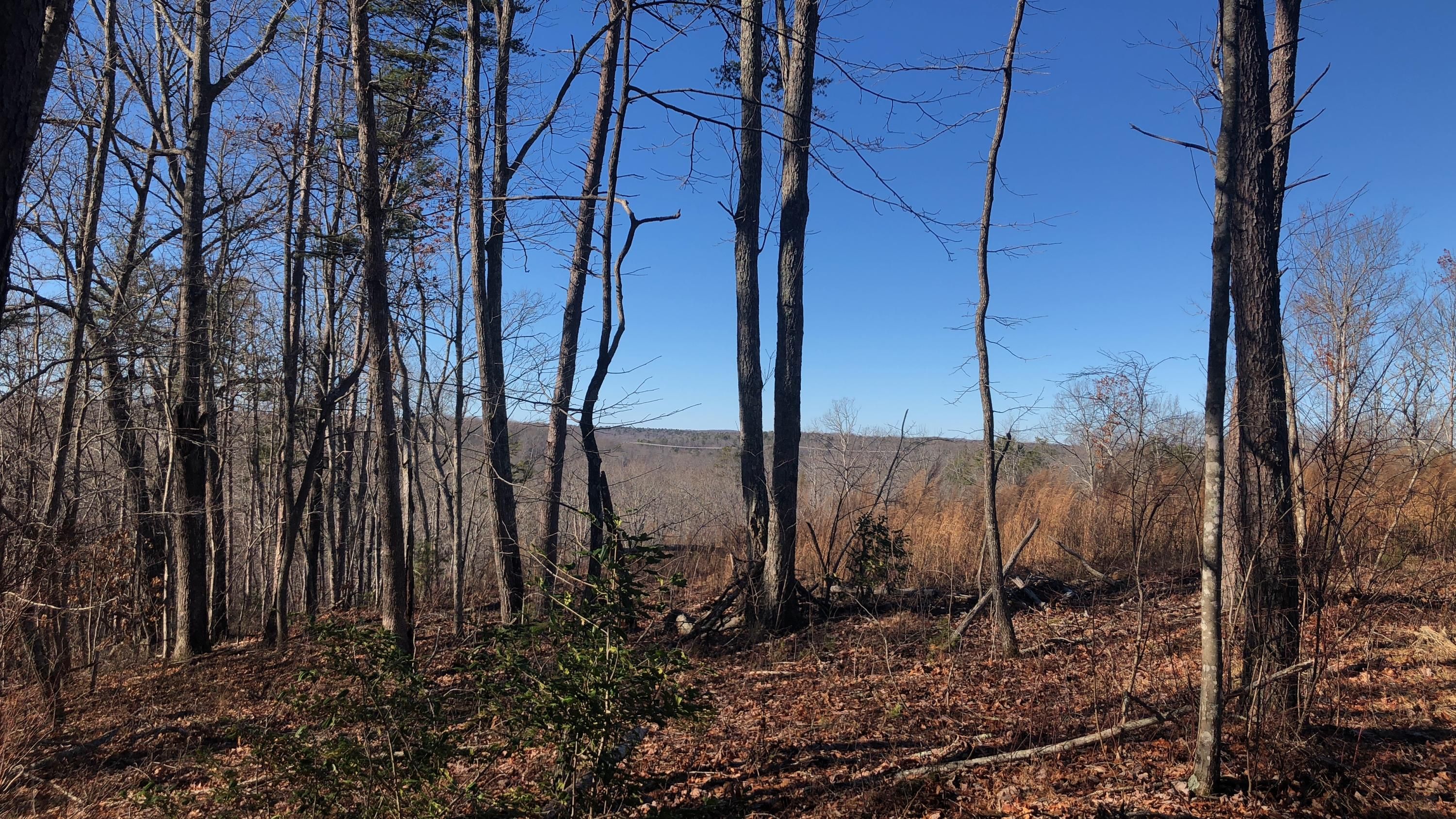 Signal Mountain, Hamilton County, TN Undeveloped Land for sale Property