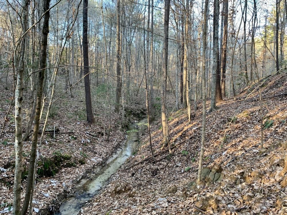 0 Dirt Road, Silas, AL 36919 LandWatch