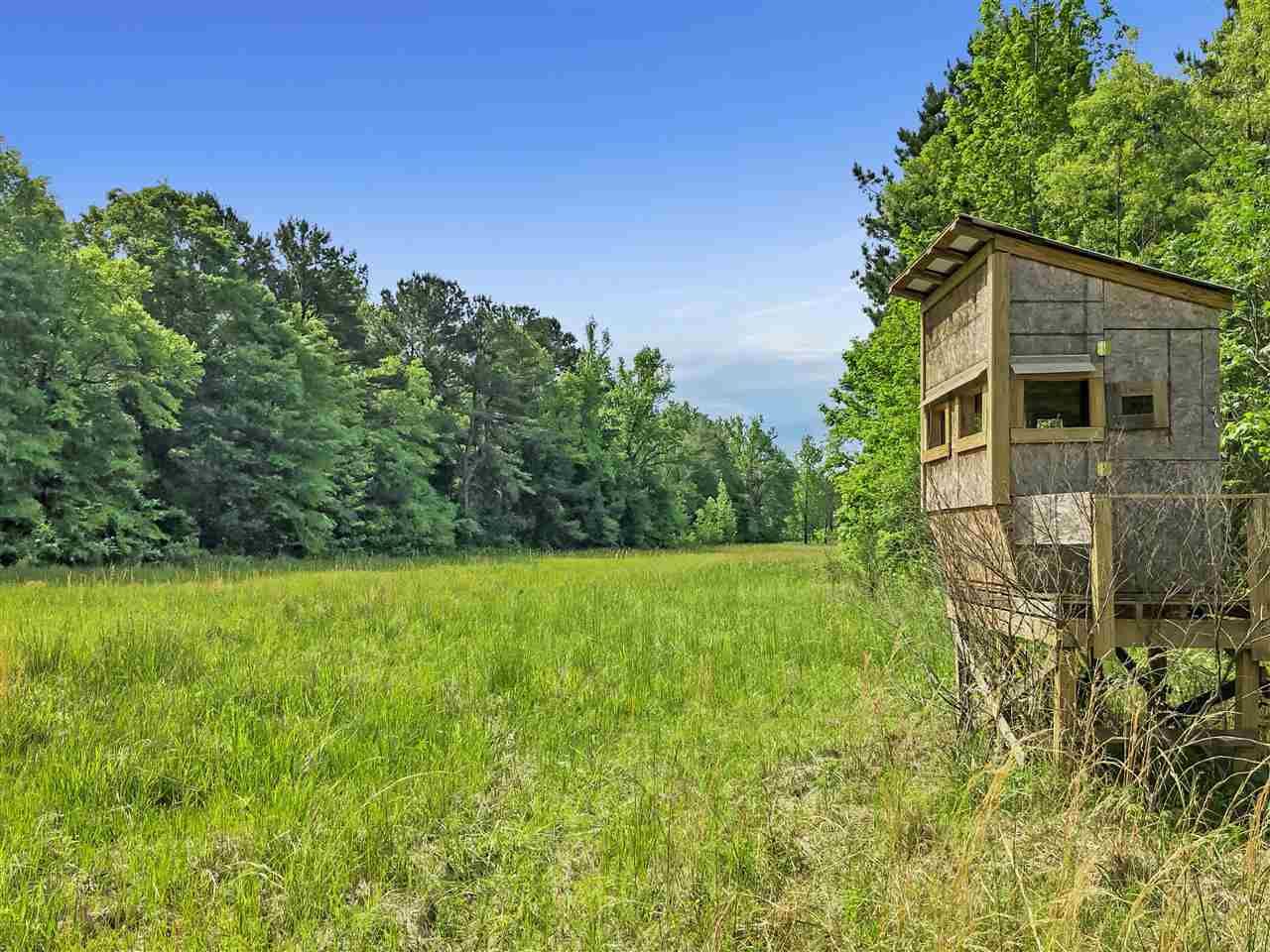 Sallis, Attala County, MS Undeveloped Land for sale Property ID