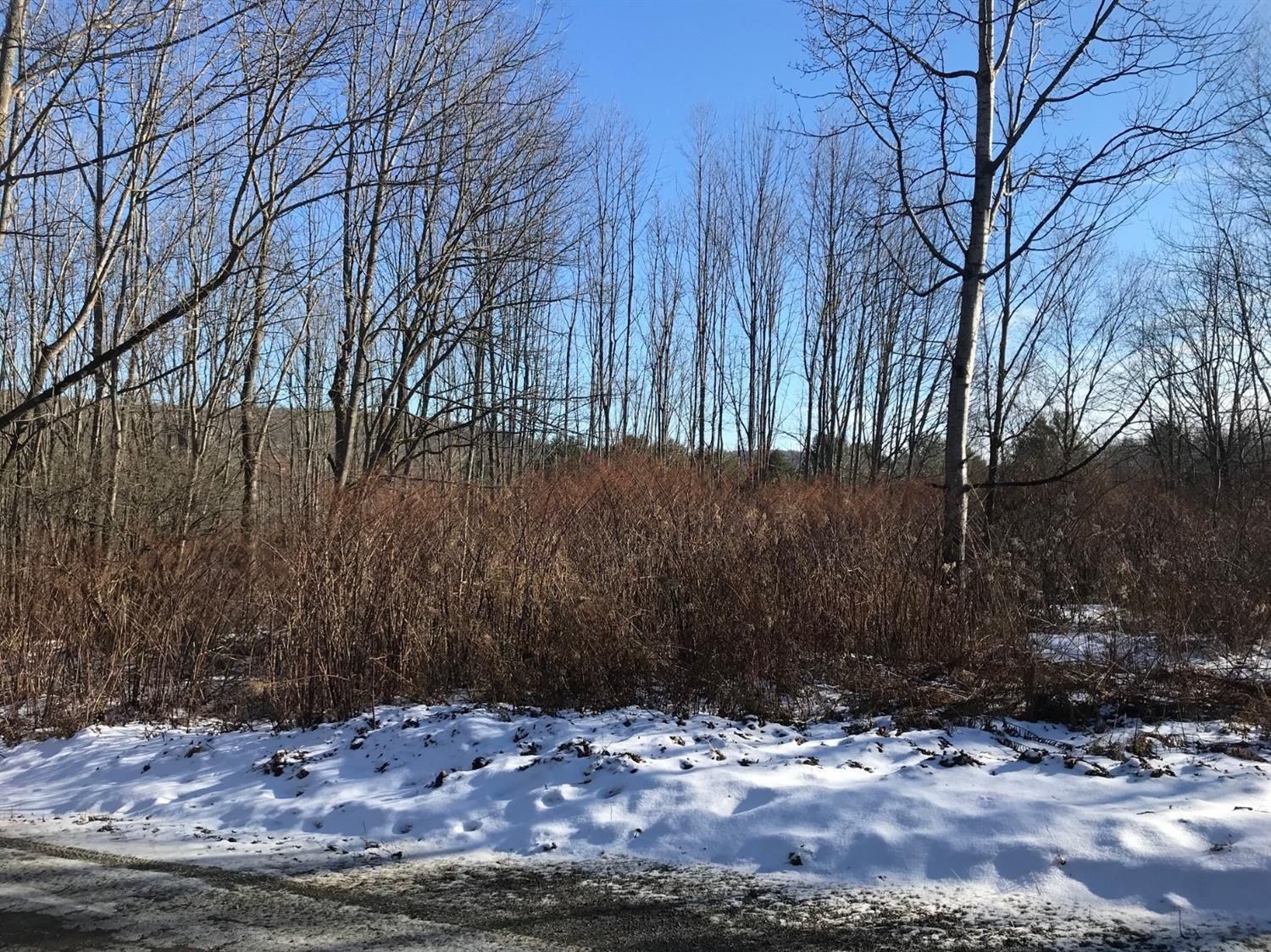 Butternuts, Otsego County, NY Undeveloped Land for sale Property ID