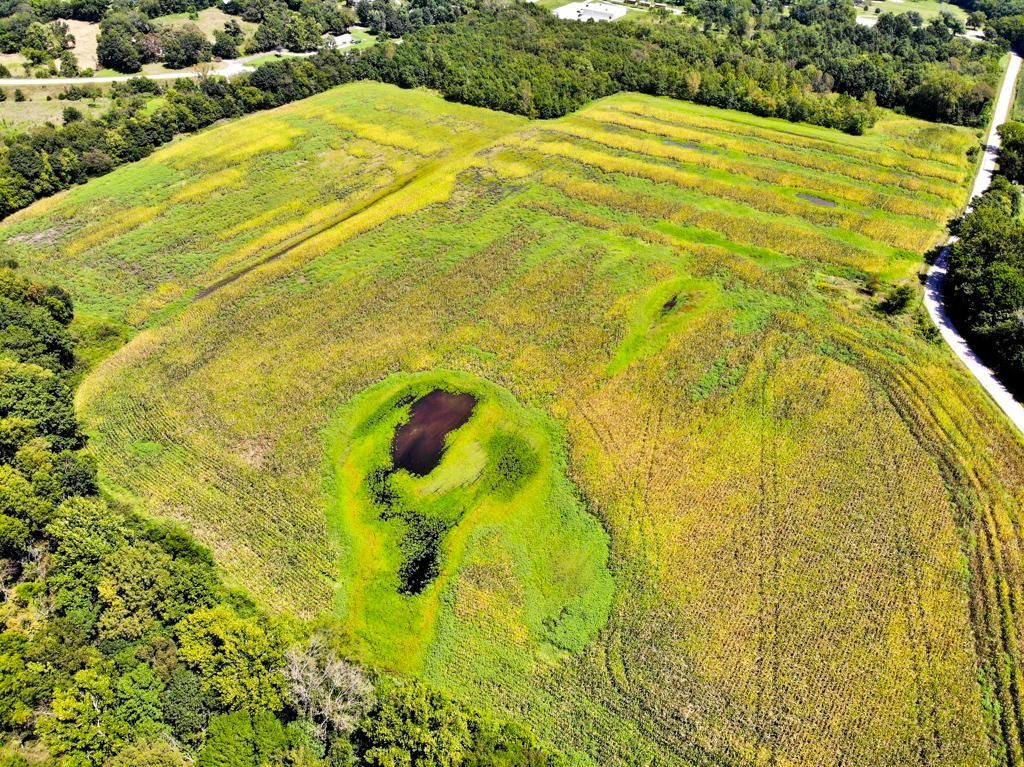 8002 E Poney Creek Rd., Freeman, MO 64746 MLS Cass 44 LandWatch