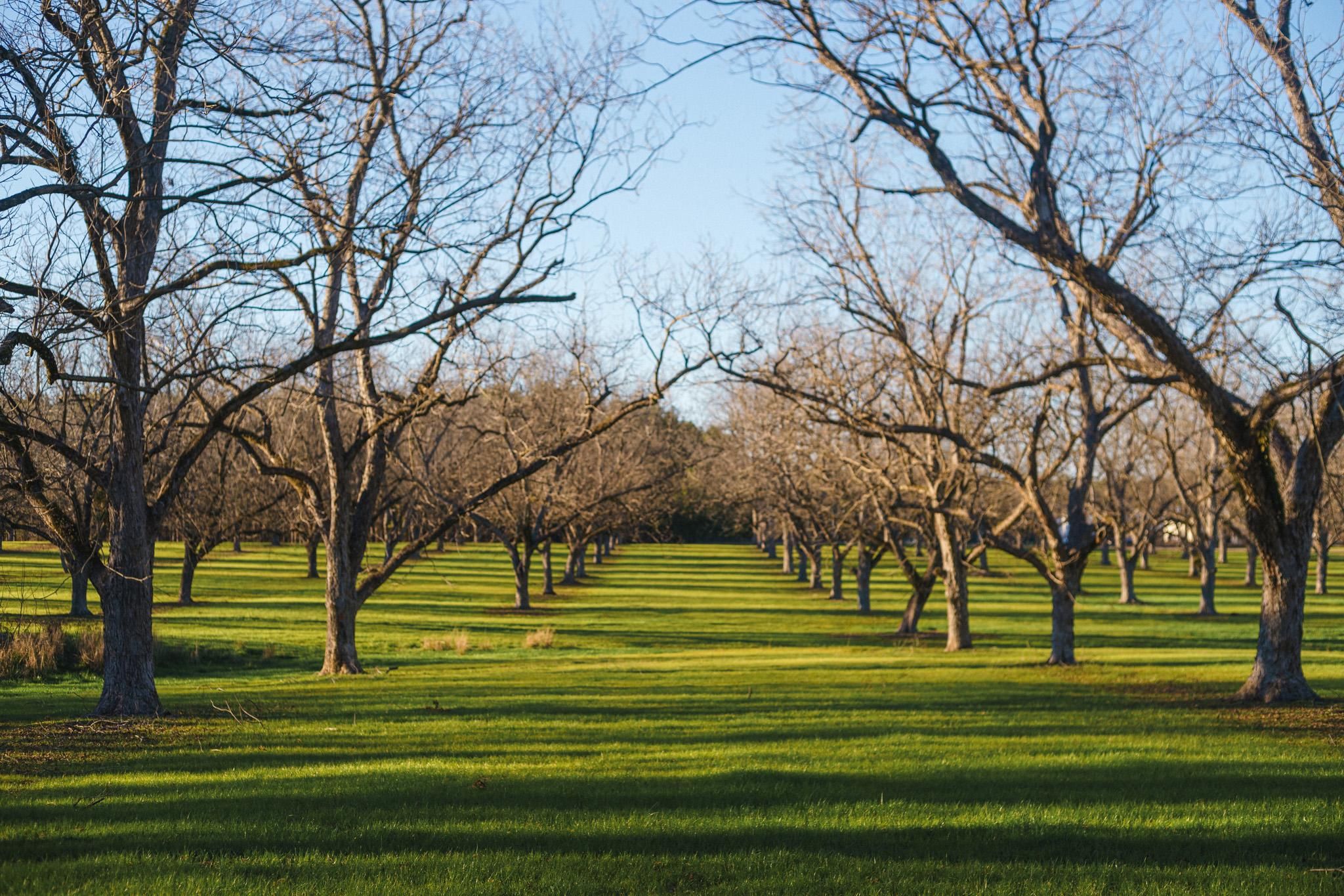 Hiltonia, Screven County, GA Farms and Ranches, Recreational Property