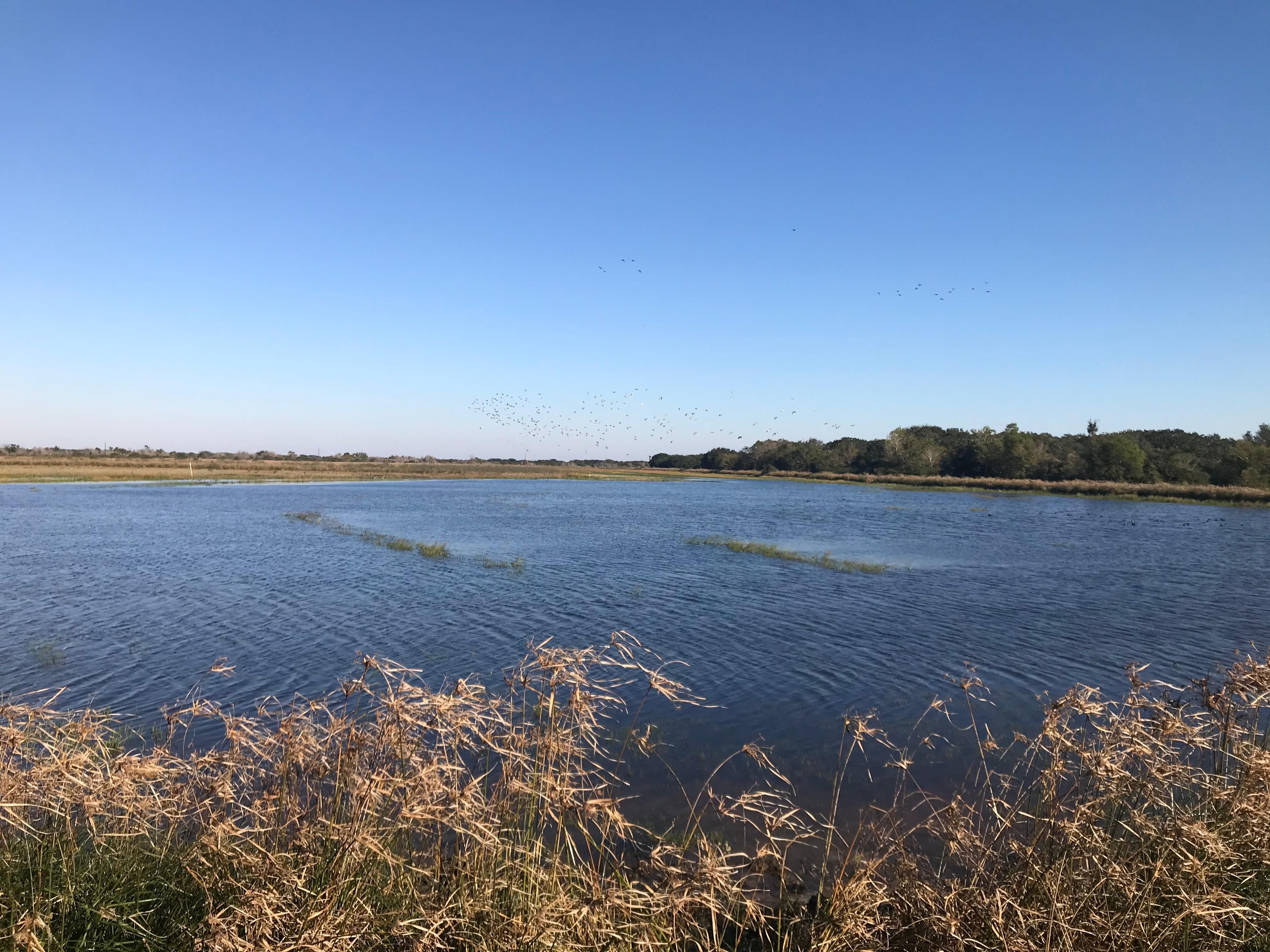 3295 CO RD 445, Francitas, TX 77961 MLS 397396 LandWatch