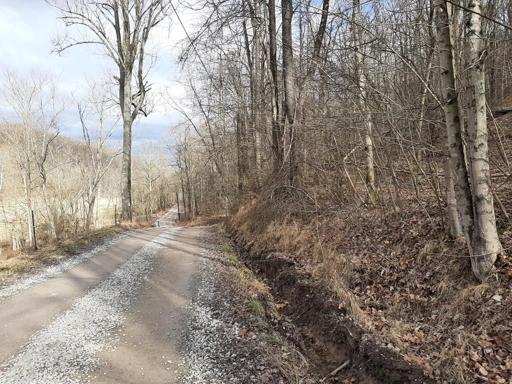 Sistersville, Tyler County, WV Undeveloped Land, Homesites for sale