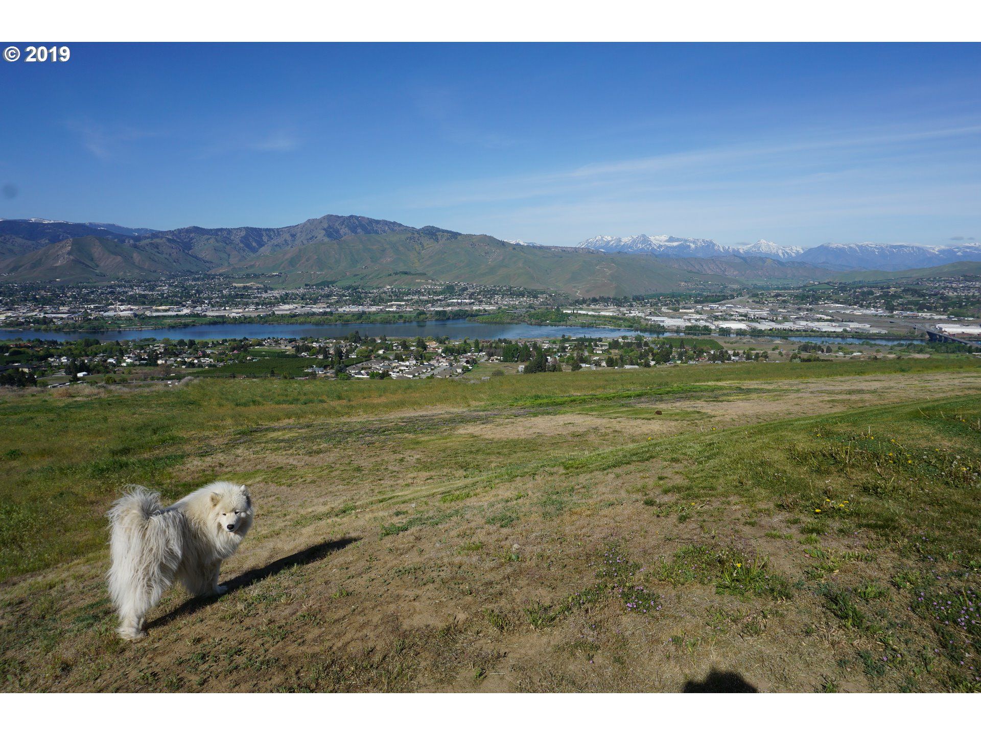 East Wenatchee, Douglas County, WA Farms and Ranches for sale Property
