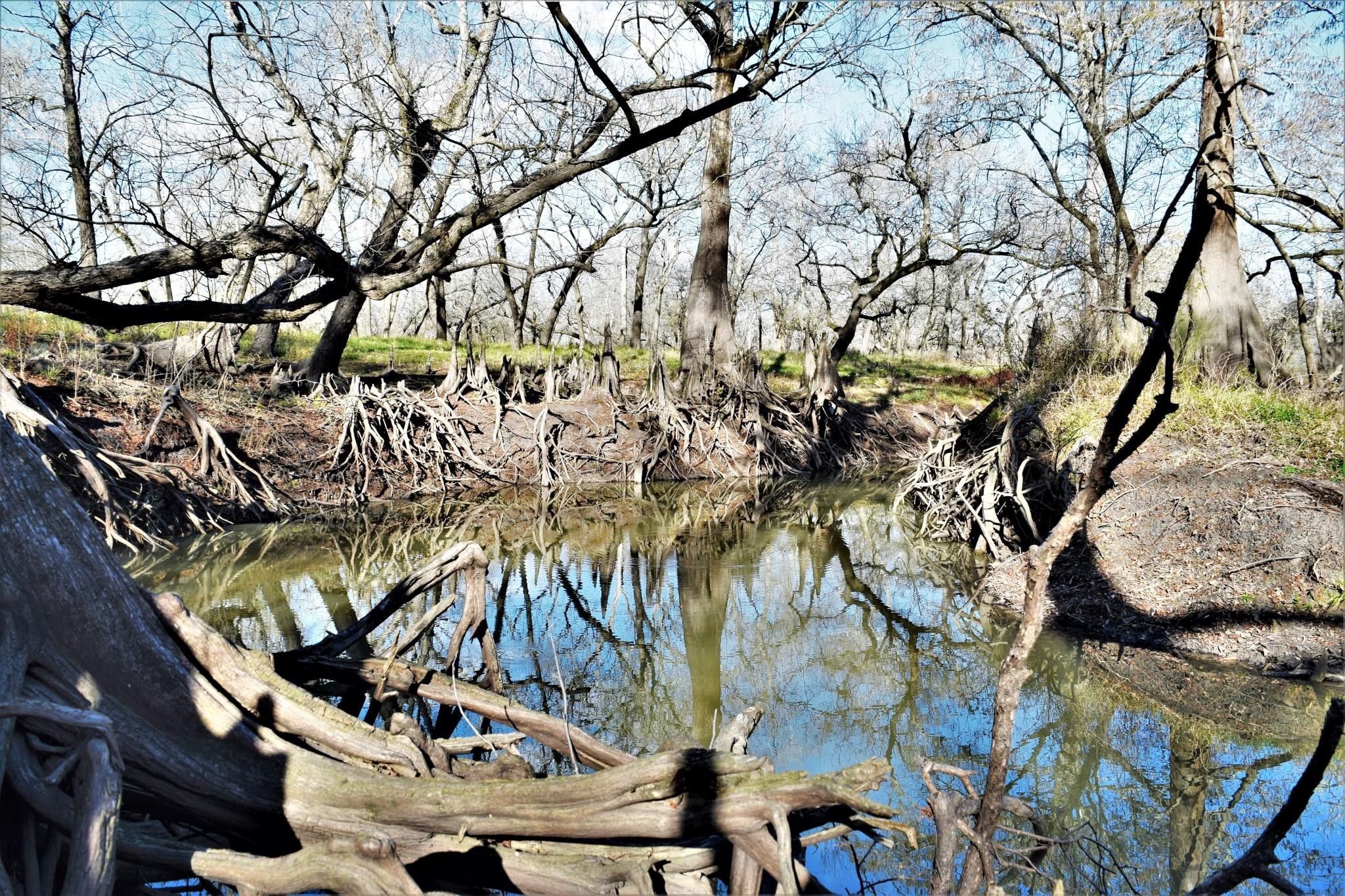 East Bernard, Wharton County, TX Farms and Ranches, Recreational