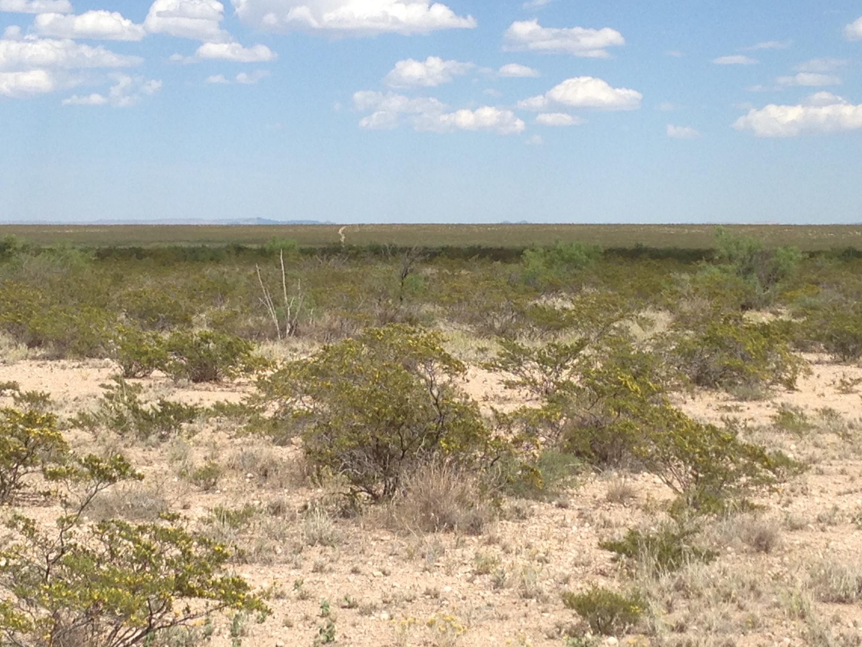 Sierra Blanca, Hudspeth County, TX Undeveloped Land for sale Property