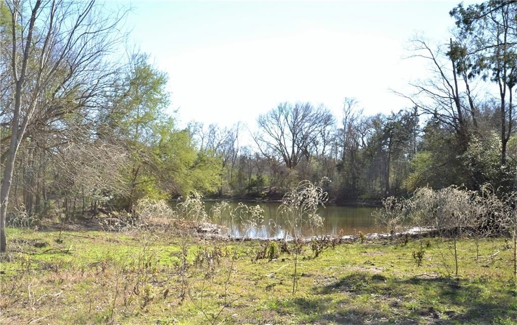 Wheelock, Robertson County, TX Undeveloped Land for sale Property ID