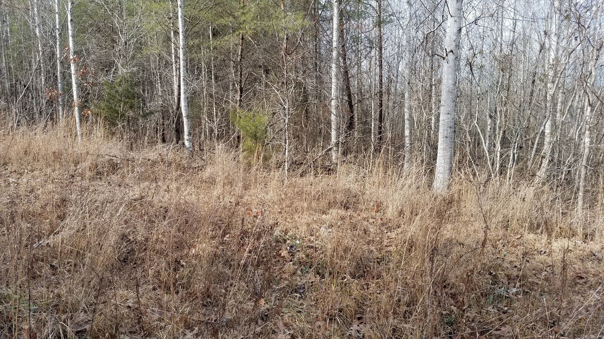 Lyles, Hickman County, TN Undeveloped Land for sale Property ID