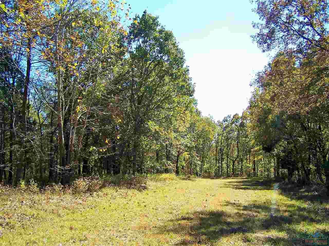 Edwards, Benton County, MO Undeveloped Land for sale Property ID