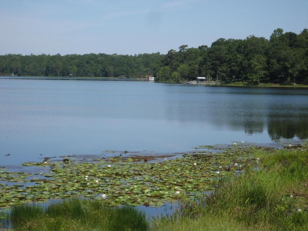 Defuniak Springs, Walton County, FL Undeveloped Land for sale Property