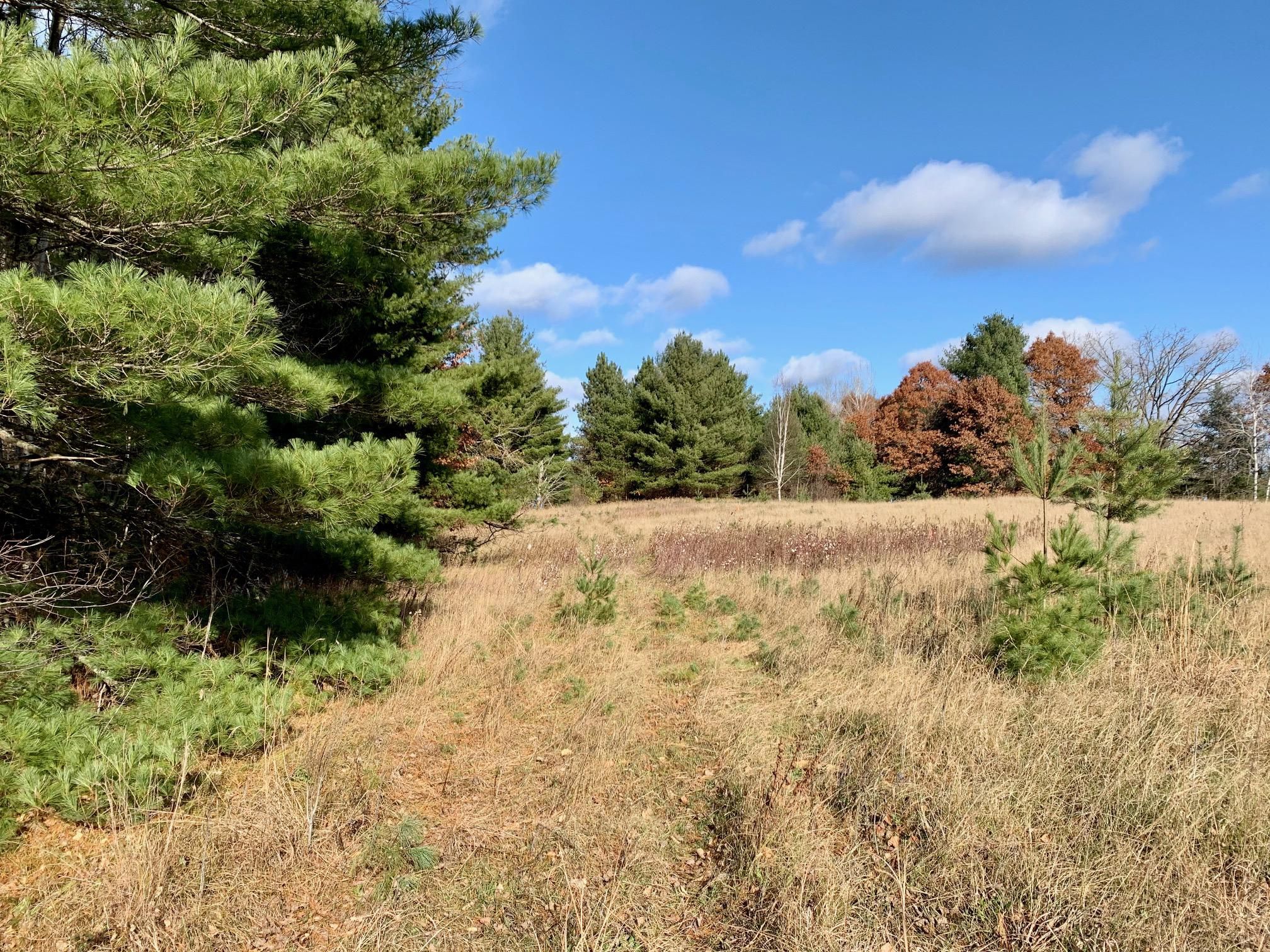 ster, County, WI Recreational Property, Hunting Property for