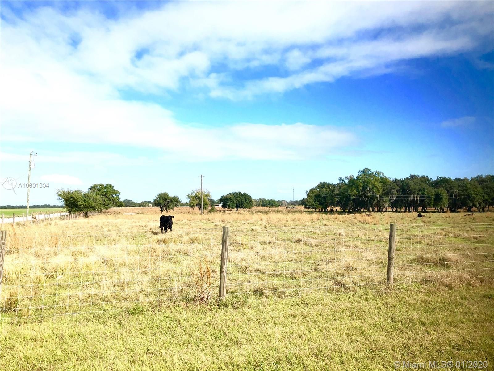 Venus, Glades County, FL House for sale Property ID 337100474 LandWatch