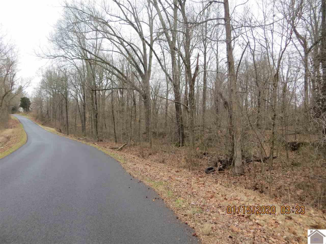 Bardwell, Carlisle County, KY Undeveloped Land for sale Property ID