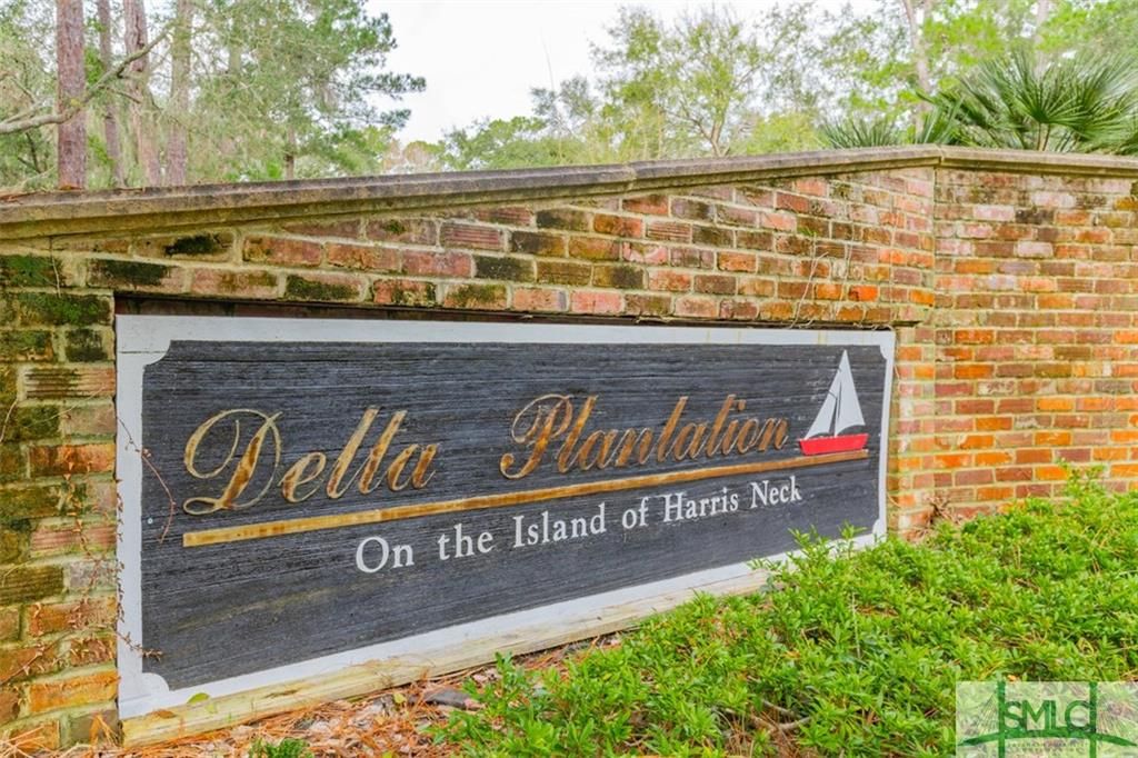 Townsend, McIntosh County, GA Undeveloped Land, Lakefront Property