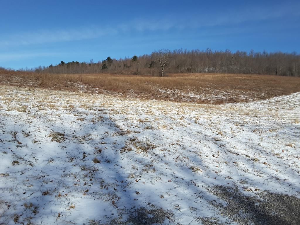 Westfield, Tioga County, PA Undeveloped Land for sale Property ID