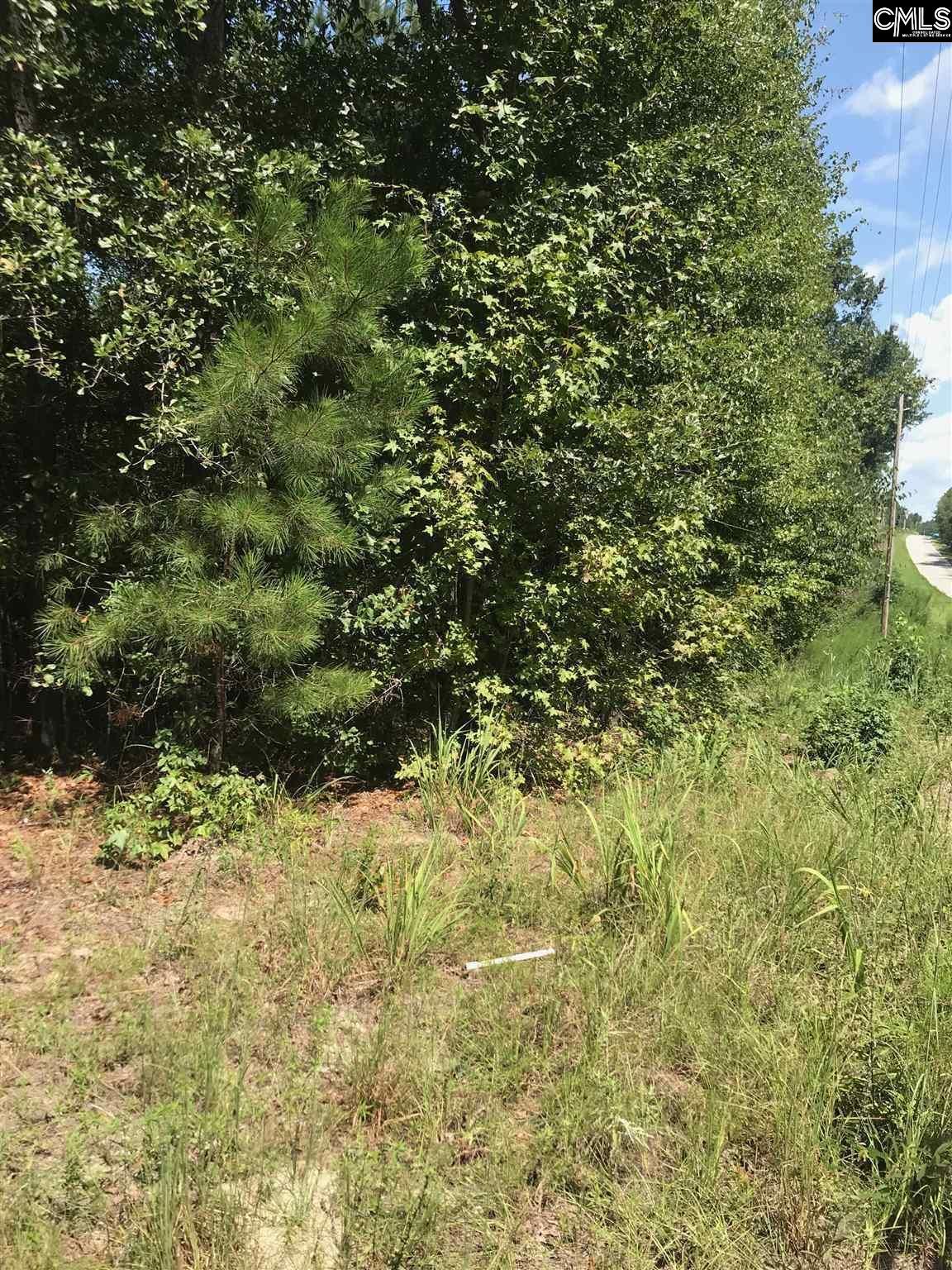 Pelion, Lexington County, SC Undeveloped Land for sale Property ID