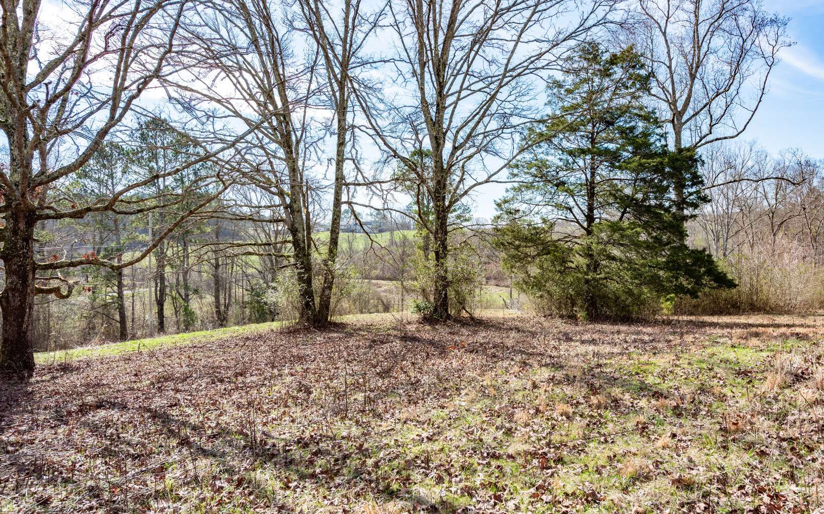 Talking Rock, Pickens County, GA Undeveloped Land for sale Property ID