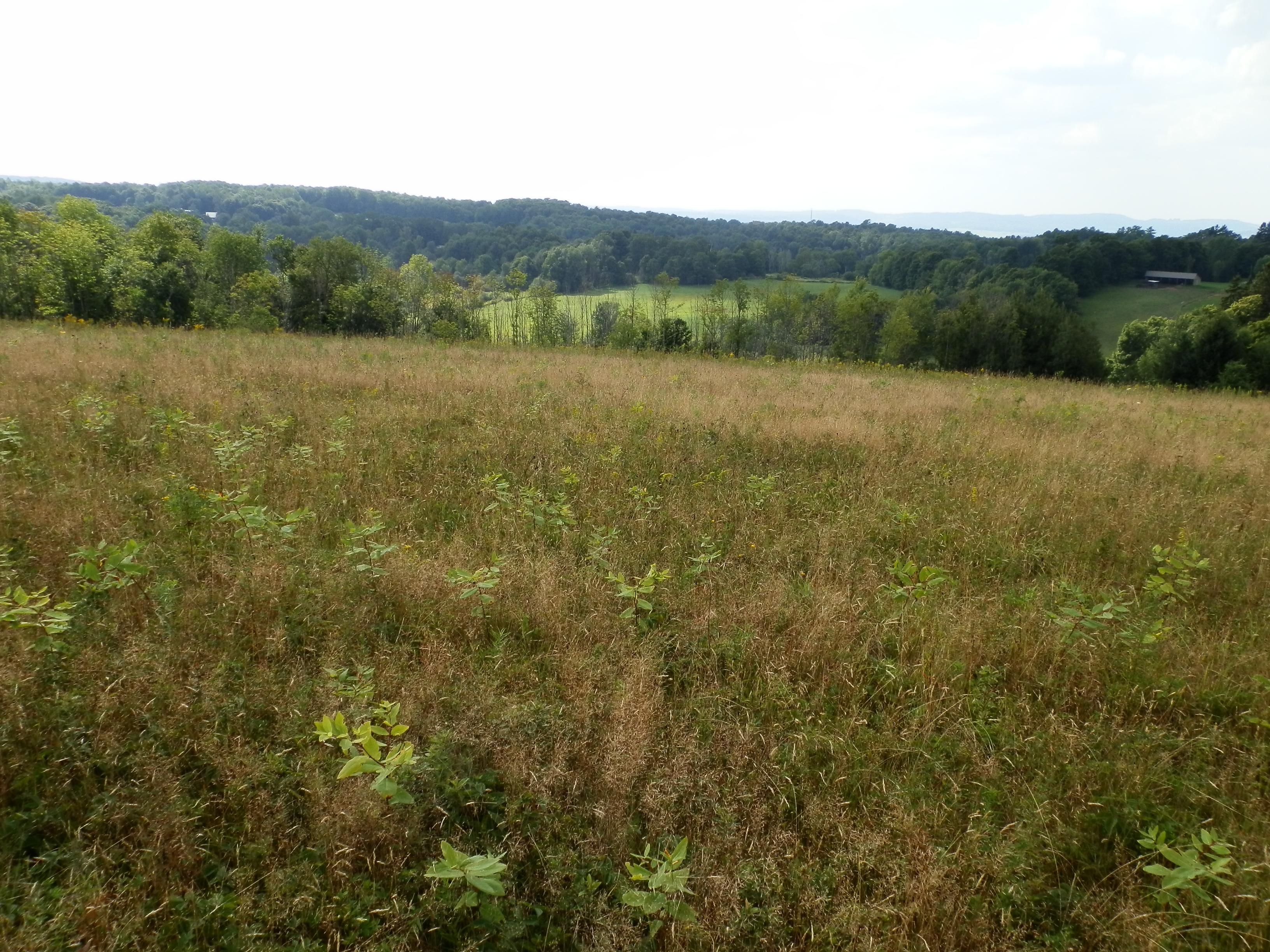 9894 Doyle Road, Brookfield, NY 13314 MLS 117963 LandWatch