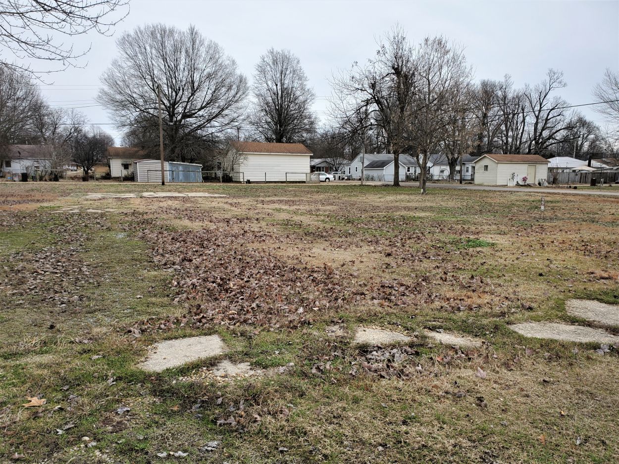 Dexter, Stoddard County, MO Undeveloped Land for sale Property ID