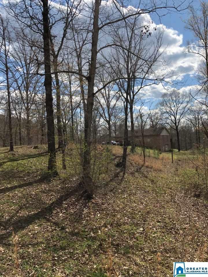 Shelby, Shelby County, AL Undeveloped Land for sale Property ID