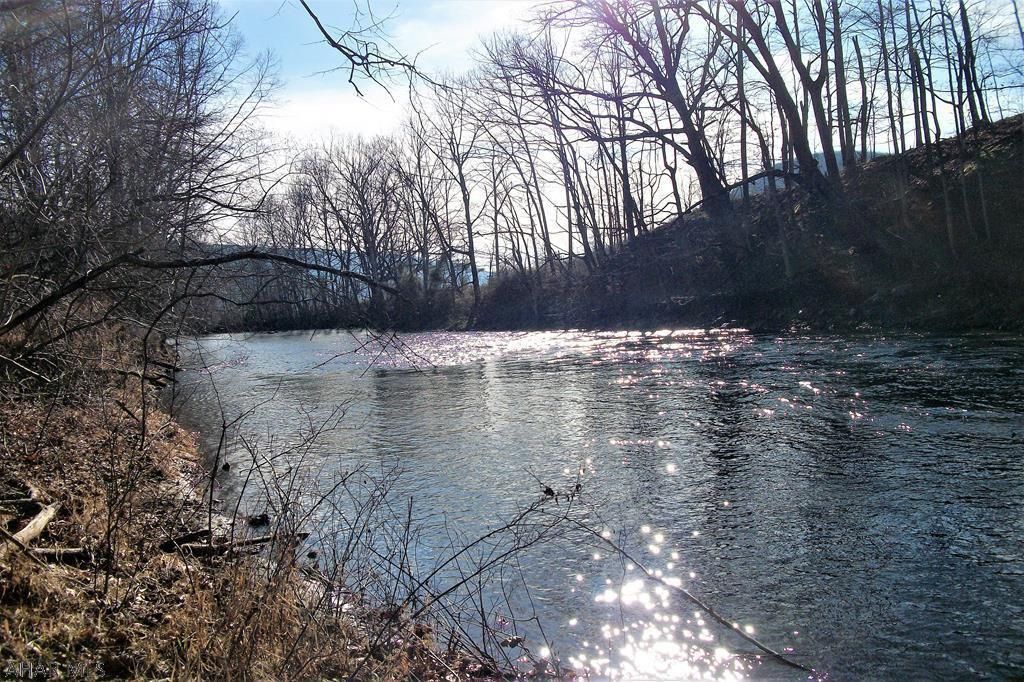 Hyndman, Bedford County, PA Undeveloped Land for sale Property ID