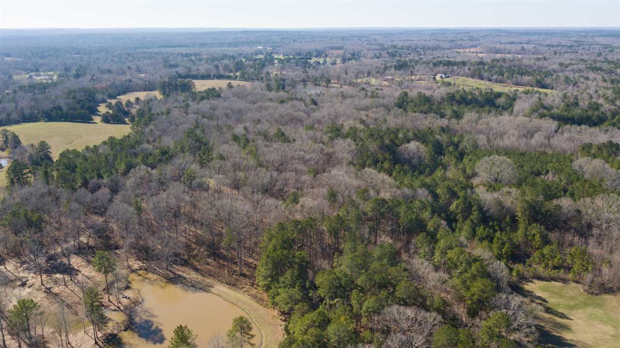 Terry, Hinds County, MS Undeveloped Land for sale Property ID