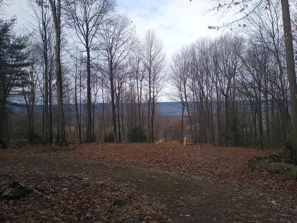 Mcclure, Mifflin County, PA Undeveloped Land for sale Property ID