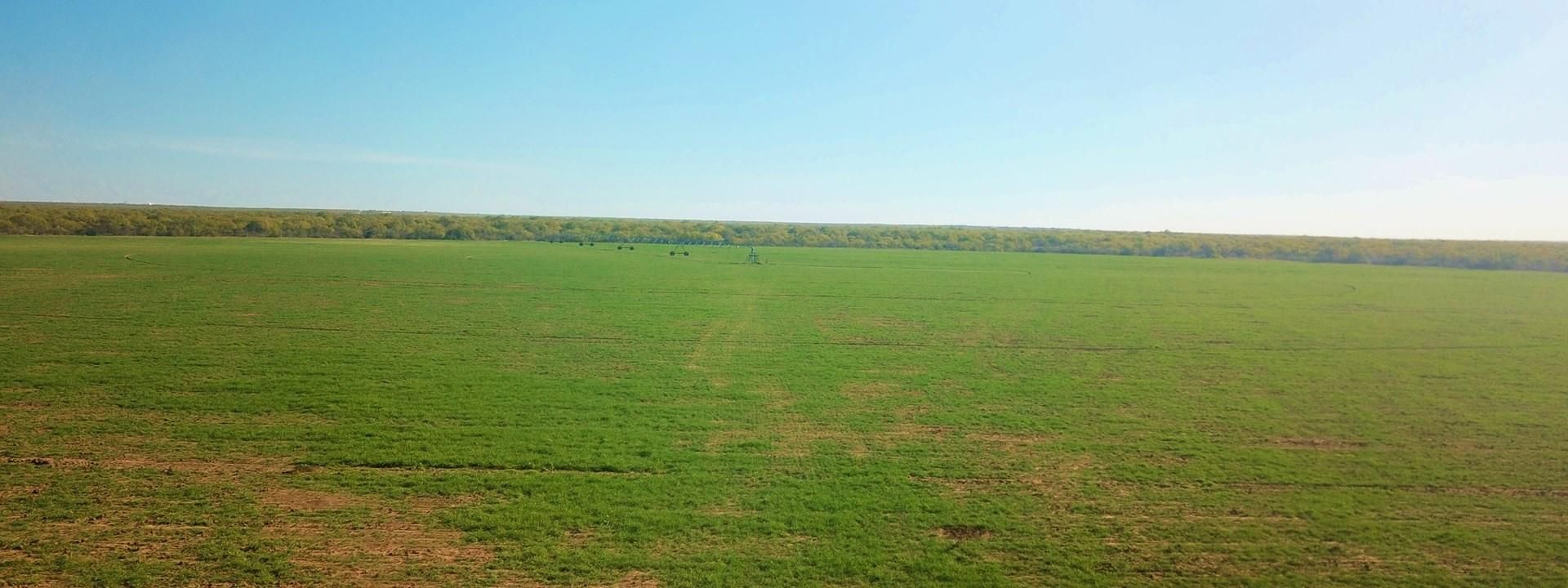 Carrizo Springs, Dimmit County, TX Farms and Ranches, Hunting Property for sale Property ID