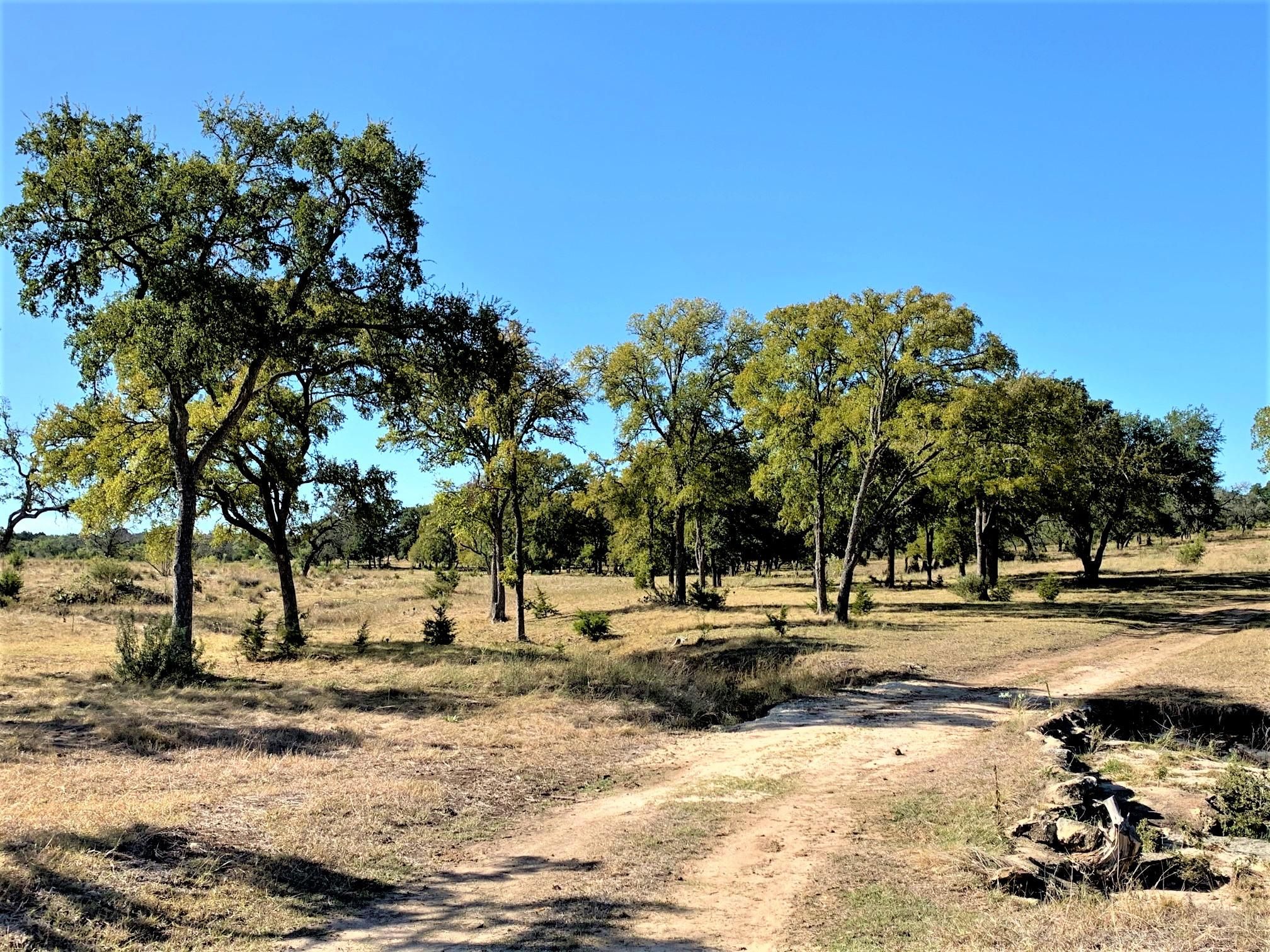 Stonewall, Gillespie County, TX Farms and Ranches, Undeveloped Land