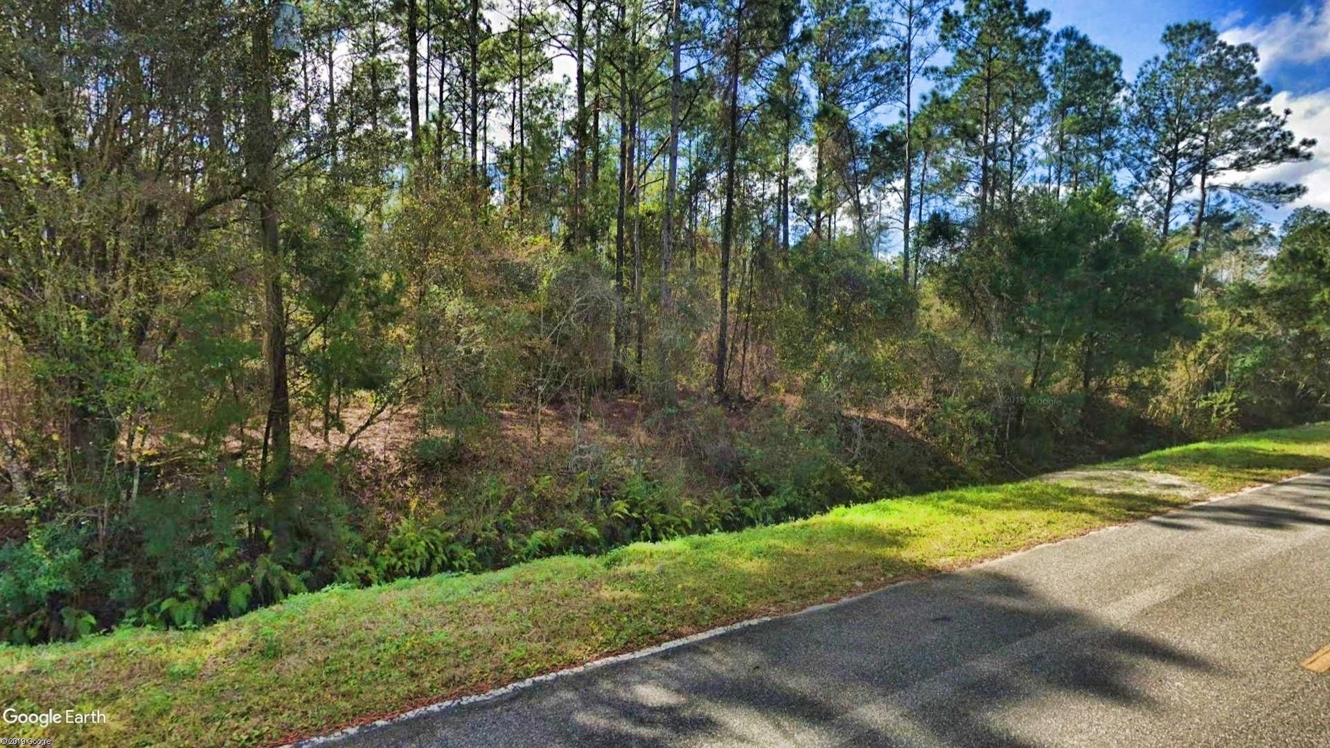 Hastings, Saint Johns County, FL Recreational Property, Undeveloped