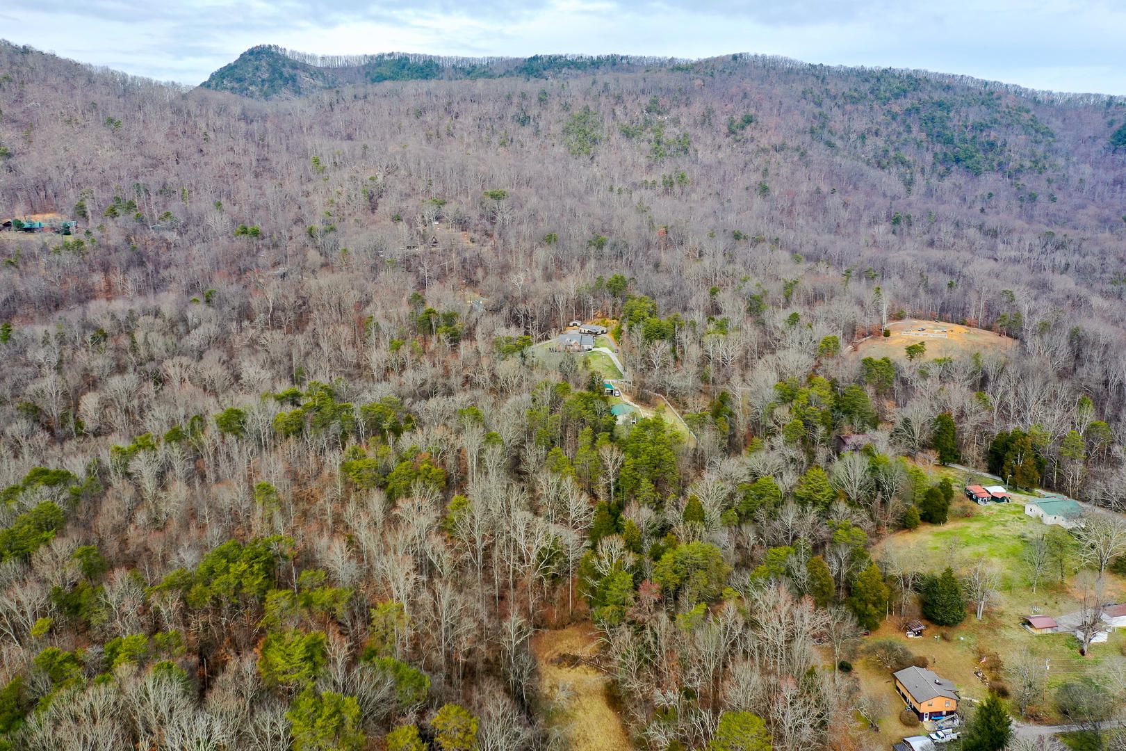 Blaine, Grainger County, TN Undeveloped Land for sale Property ID