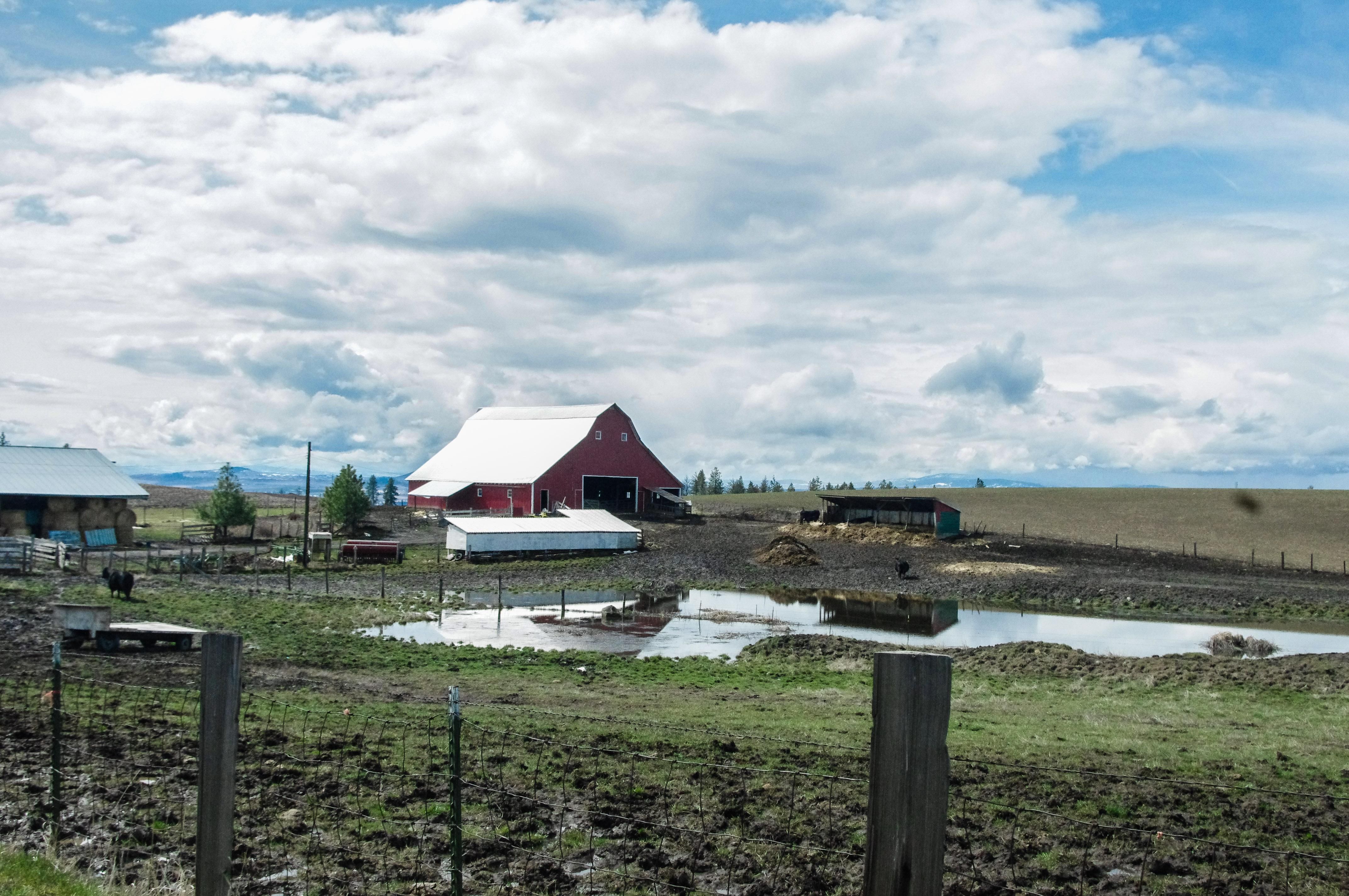 Kamiah, Idaho County, ID Farms and Ranches, Undeveloped Land, House for