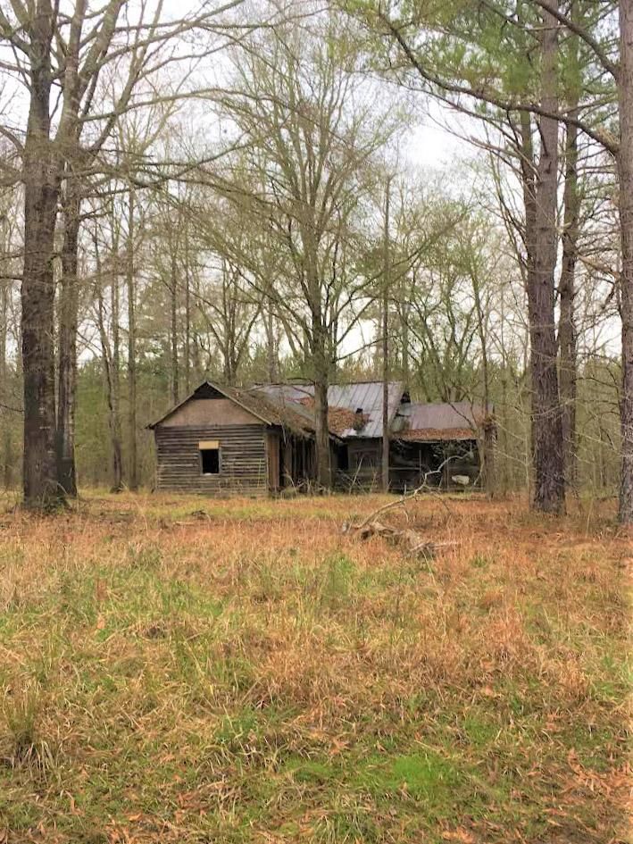 Sandersville, Washington County, GA Recreational Property, Hunting
