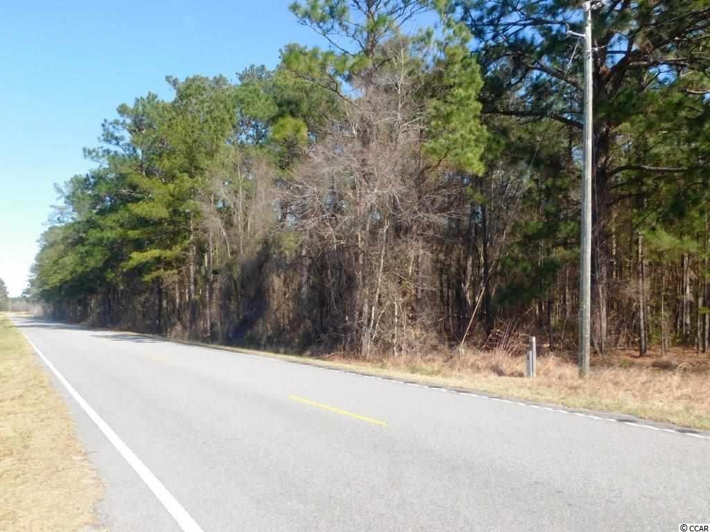 Green Sea, Horry County, SC Undeveloped Land for sale Property ID