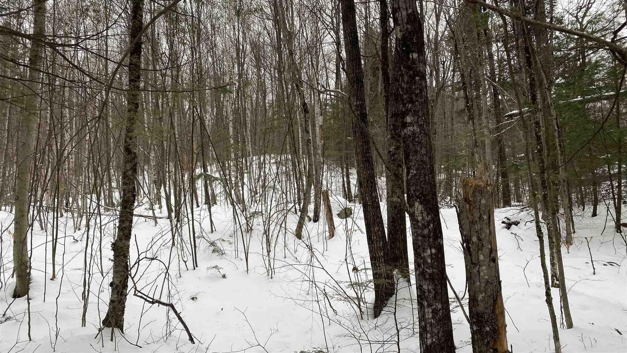 Ossipee, Carroll County, NH Undeveloped Land, Homesites for sale