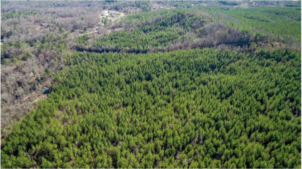 Gordo, Tuscaloosa County, AL Undeveloped Land, Homesites for sale