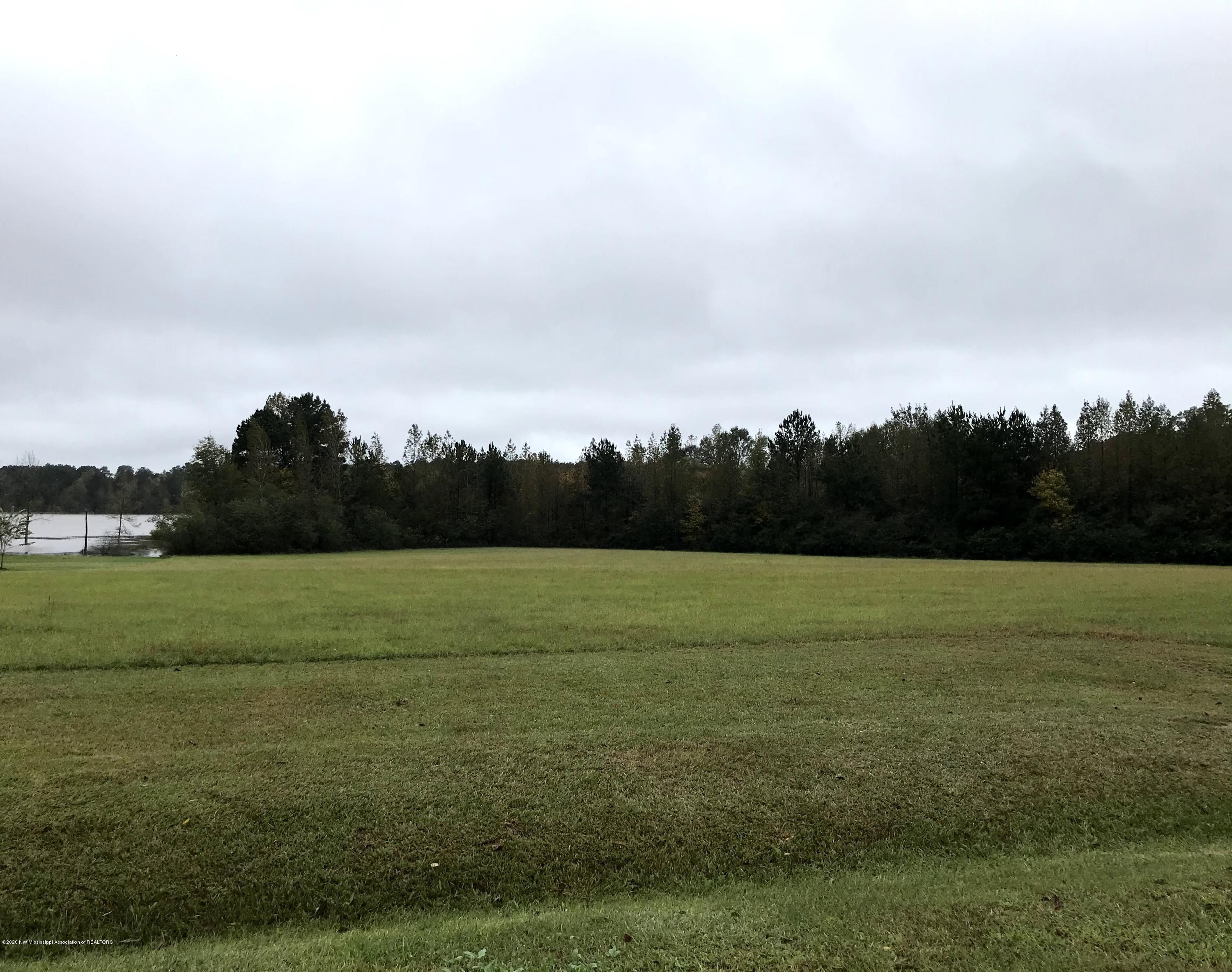 Louisville, Winston County, MS Undeveloped Land, Lakefront Property