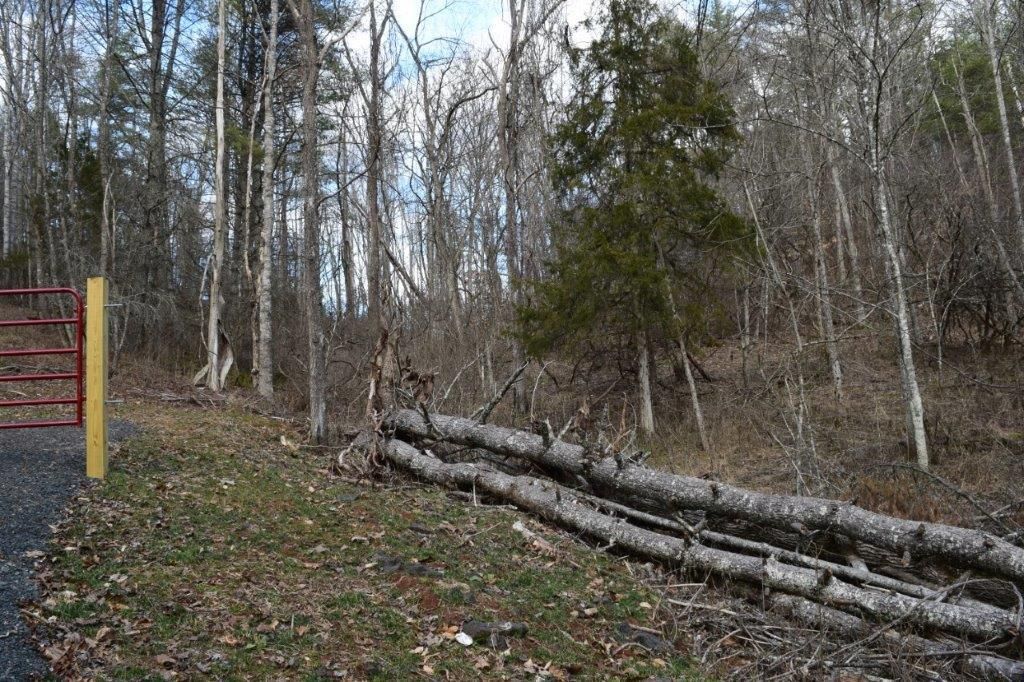 Draper, Pulaski County, VA Undeveloped Land for sale Property ID