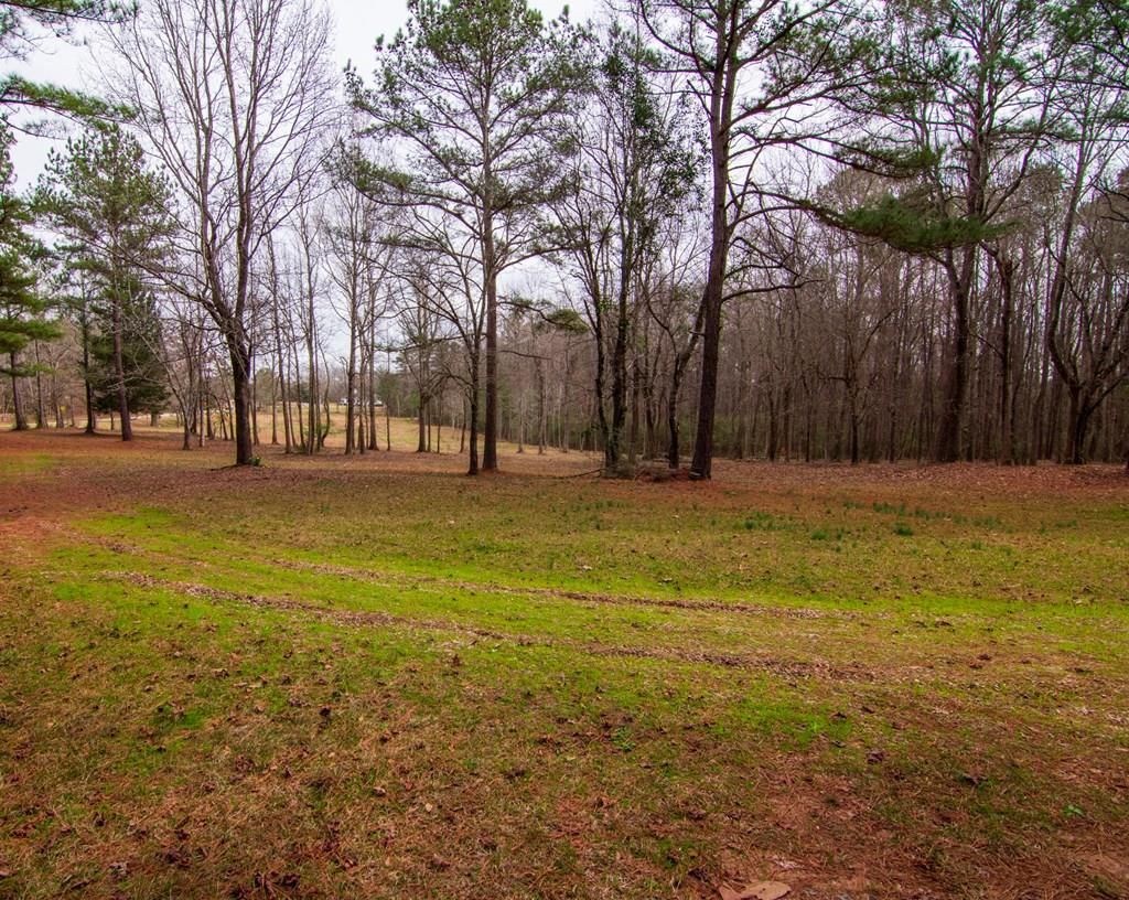 Pine Mountain, Harris County, GA Undeveloped Land for sale Property ID