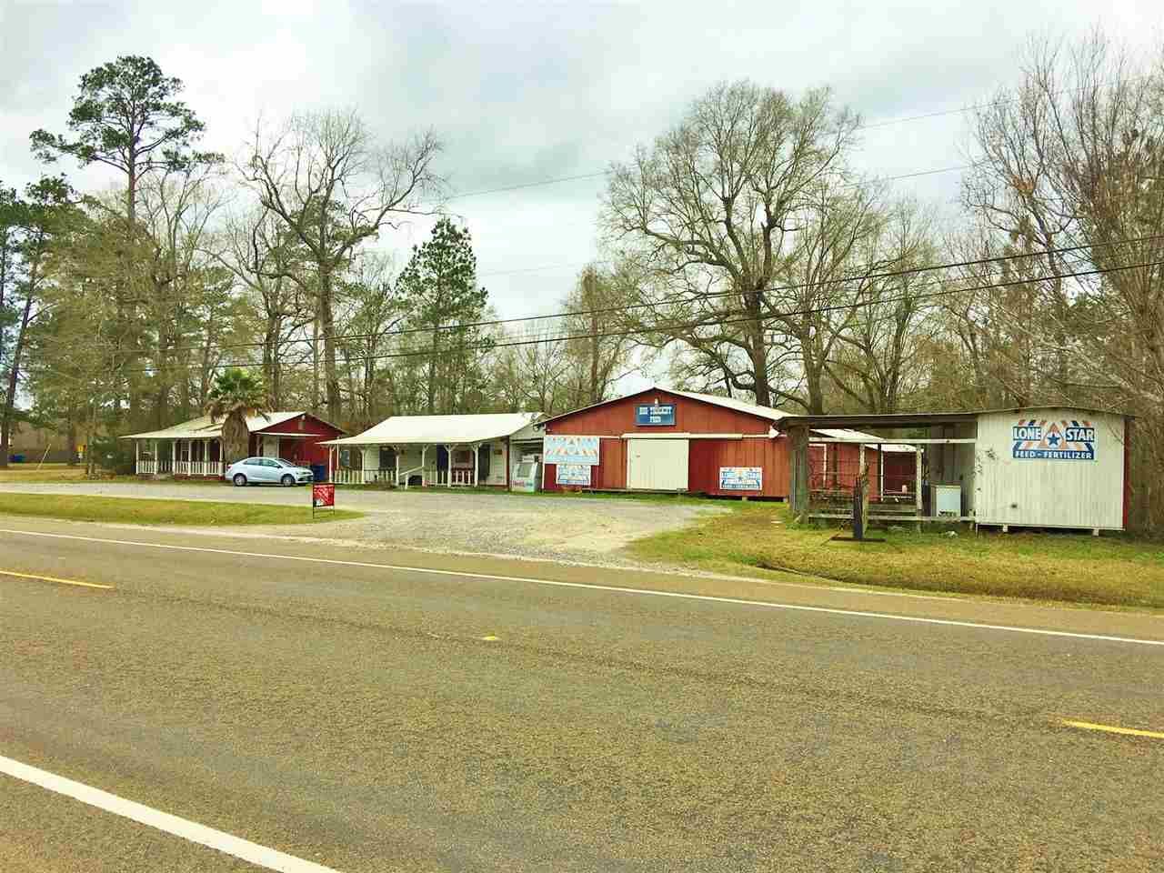 Sour Lake, Hardin County, TX Commercial Property, House for sale