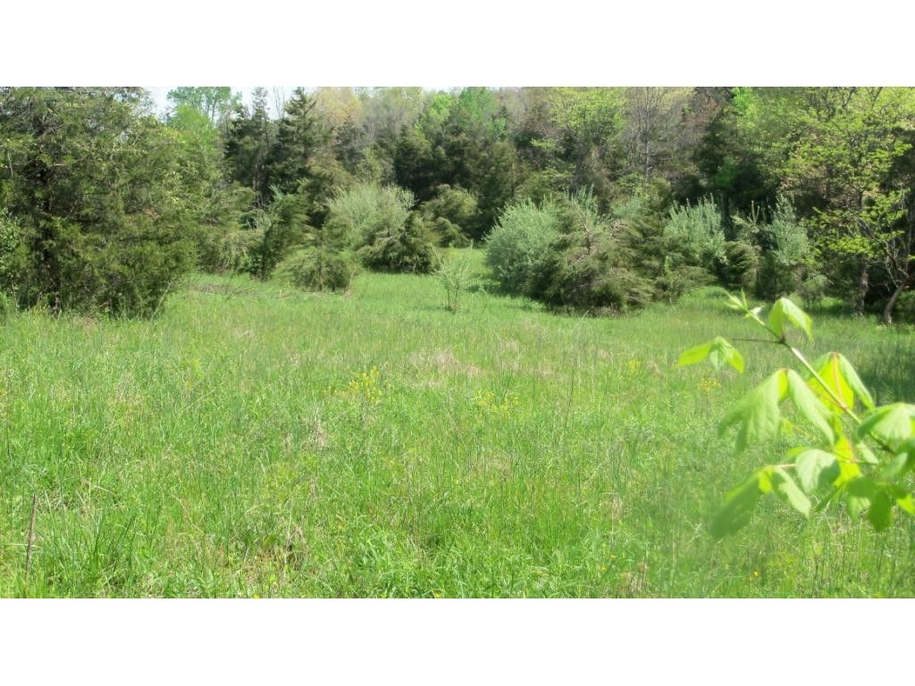 Fort Blackmore, Scott County, VA Undeveloped Land for sale Property ID
